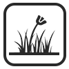grass_wb